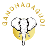 Gandhadagudiheritage